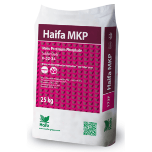 Haifa Mkp