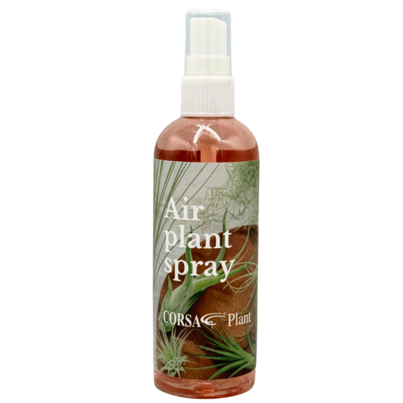 Airplantspray1