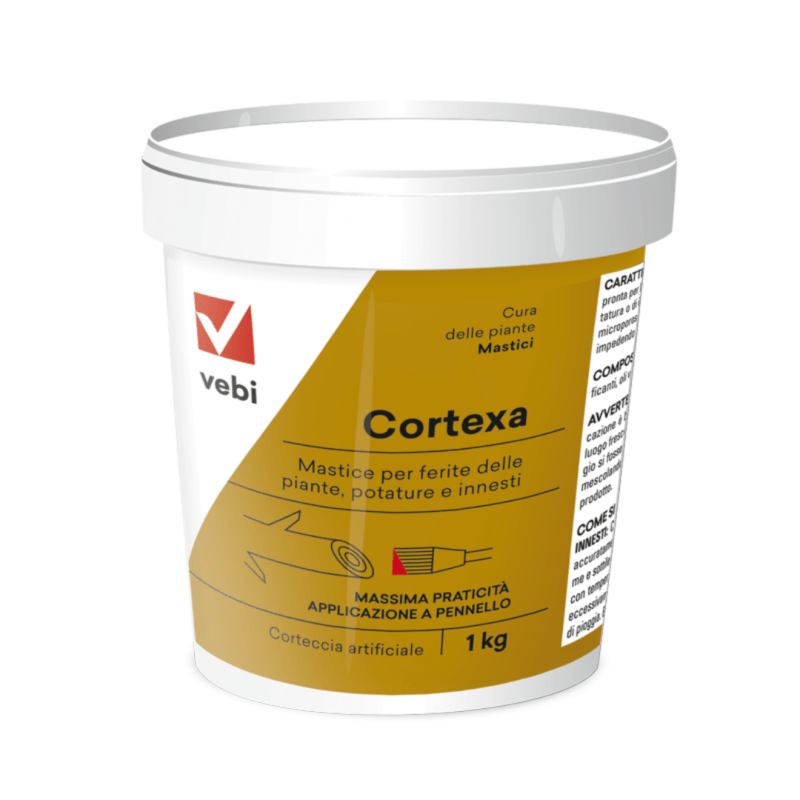 Cortexa